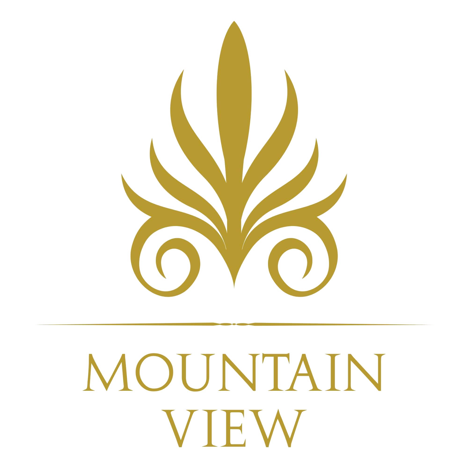 Mountain View 22O